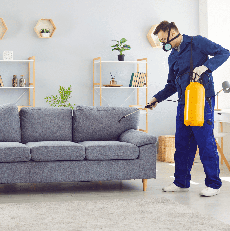 Sofa Deep Clean Service